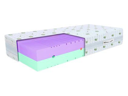 Saltea Ergo 80x200
