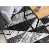 Detalii pe coperta Trigon.